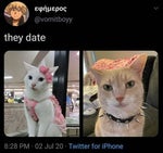 daddy why won't you let me play with her?