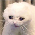 I'm Okay, Im fine, Gwenchana