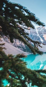 ko ce da mi plati bus