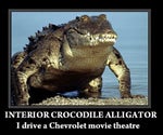 Interior Crocodile Alligator (128 kbps)