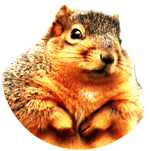 ABBA DANCING QUEEN part 4