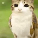 Im a new soul [better]