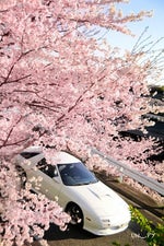 Notion by the rare occasions (13.7k play special!!) - Sound