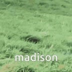 Madison