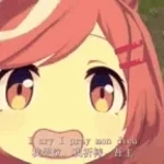 MAMBO MAMBO MAMBO MAMBO
