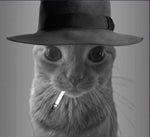 Musica chaves estourado