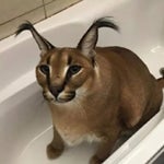 take yourr finger off the trigger