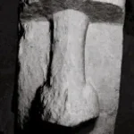 marco piedra 7
