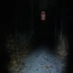 Eeeie whistle