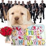 quieres ser mi novia???