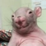 isso é oq acontece quando mendigo morre