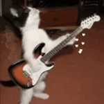 VITAMINA COM GUITARRA