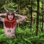 Peyruis feat. Josiane Pichet - La Danse de Forêt (copy)