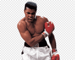 Muhammad Ali The Champ is here