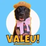 muchachos ustedes saben que hace un perro con un tornillo?