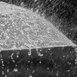 Well, it looks like another wet one