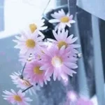 black beatles | sped up