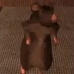 We are the Rats (Loop)