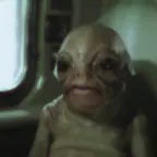 Tiggy Skibbles wake up