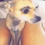 primero la tienes que chupar