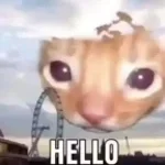 babcia mi nie dala na v dolce😪 #short #funny #memes #babcia