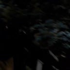 Recording 09/06/25 09:51:37 (copy)