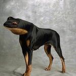 batman dark knight rise bane bane bomb is armed