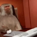 TurtleBeach Burst II Air