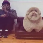 dikida dikida - Sound