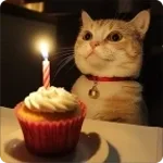 Песня - Утро рассвет тебя со мной нет - Sound