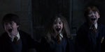 Harry Potter 1 - Harry, Hermione and Ron Fear Scream