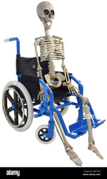 bad to the bone