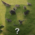 La Vaca Lola Canciones de La Granja de Zenón 2