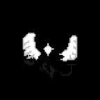 The World Roaring (Guardian but it's The World Revolving)