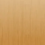 Recording 01/07/26 17:08:48