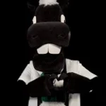 Borussia Mönchengladbach vs  1.FC Köln