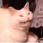 Quick Reverb Fart Sound Effect