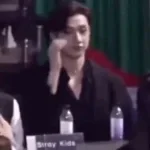 Railway Stray Kids (Bang chan)