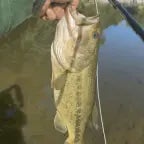 bass