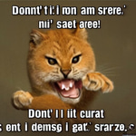 Le Shart Le Fart - Sound