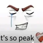 NEVER GET USED TO PEOPLE hoodtrap