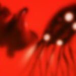 the party of searching