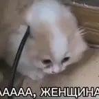 ЖЕНЩИНА - Sound