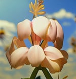 Walter screaming skinwalker