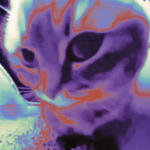 Chipi Chapa (Hardstyle)