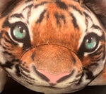 shotgun raids intro but it's the good part