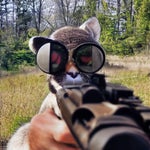 Don’t mess with me