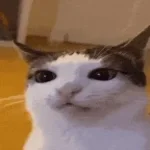 Demonic anger 3