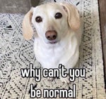 Scariest stories:Italians