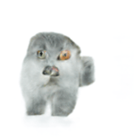 Chains is in a pickle